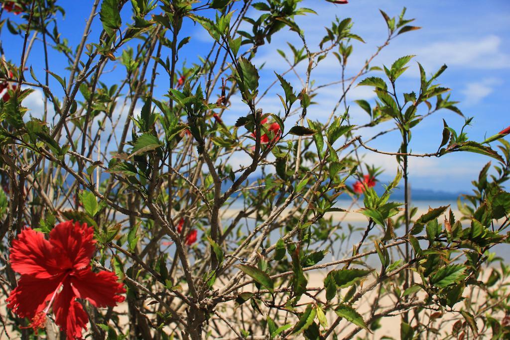 Morning Star Resort Baan Tai Eksteriør billede